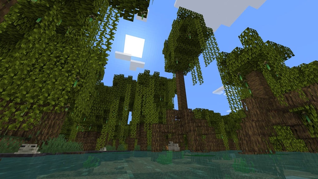 minecraft-tricks-minecraft-windows.jpg