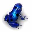 Vuze for Windows