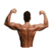 Healthy Shoulder