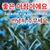 Korean Daily Wishes Messages