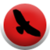 NewsTweets