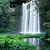 Jungle Waterfall Live Wallpaper