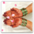 Karwa Chauth