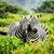 Animal Wallpapers HD Backgrounds