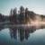 Forest around the world 4K غابات