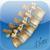 Netter's Musculoskeletal Flash Cards