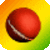 Cricket Zone