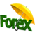 Forex Trading Focust